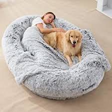 Cozy Companions Unveiling the Magic of Human Dog Beds for Ultimate Bonding