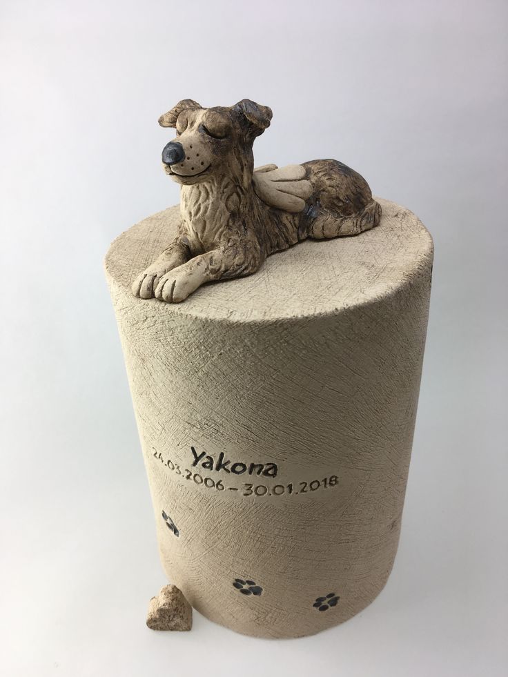 Embracing the Journey Understanding Dog Urns by Breed