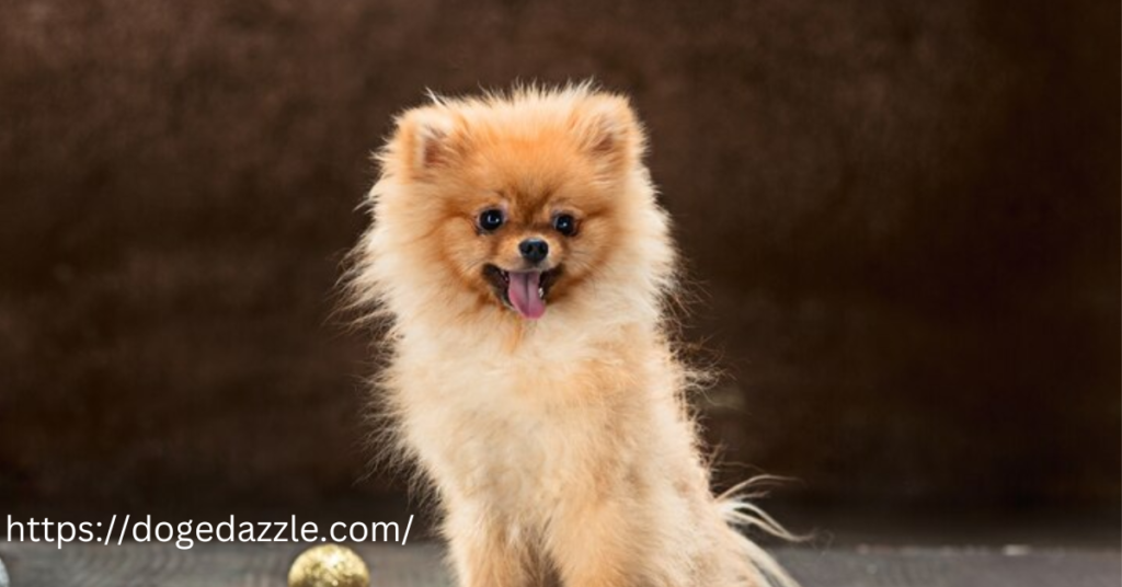 The Cutest Poodle Mixes for Small Dog Lovers